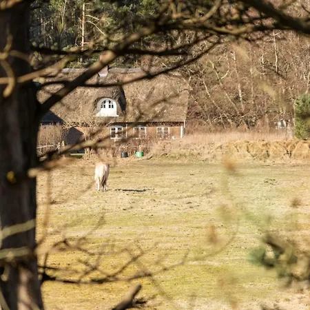 Tine - 2-3km From The Sea By Interhome