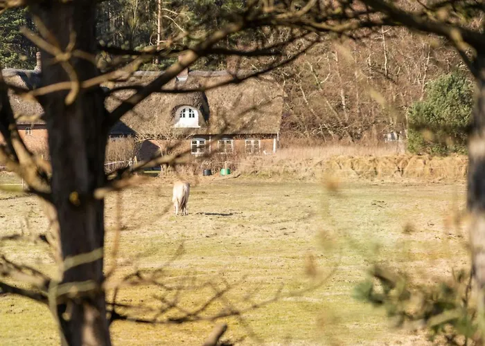 Tine - 2-3km From The Sea By Interhome